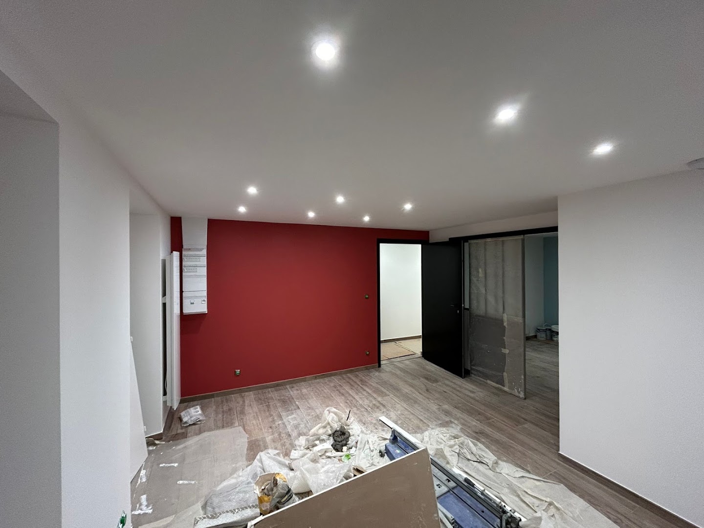 PLÂTRERIE DES DEUX SAVOIES — Photos 2